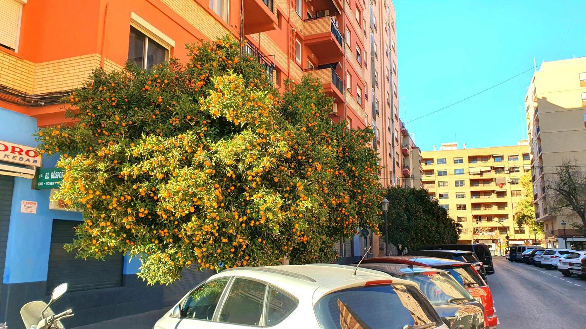 Nuevo Apartamentos Costa Del Alma Valencia Exterior foto