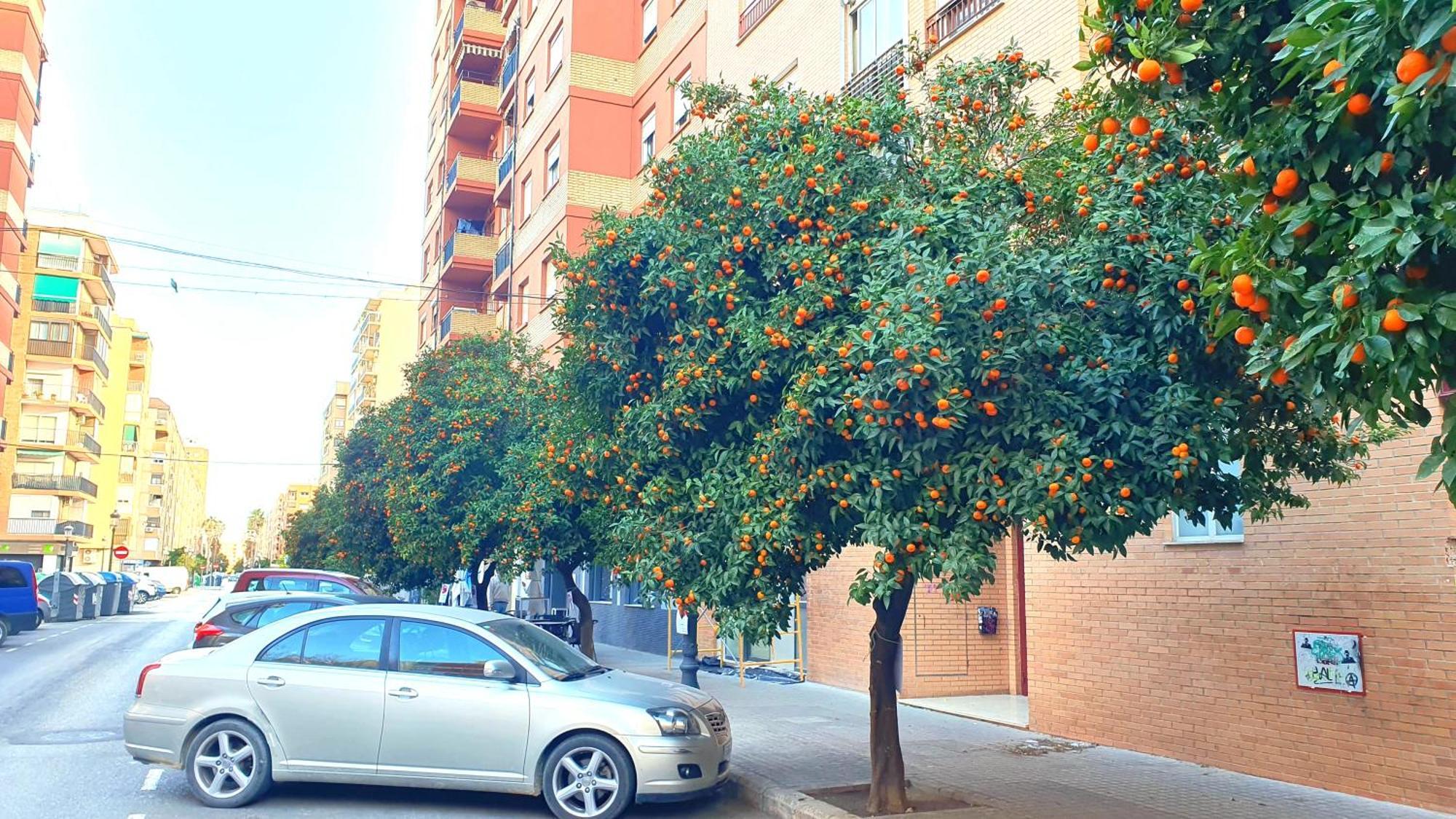 Nuevo Apartamentos Costa Del Alma Valencia Exterior foto